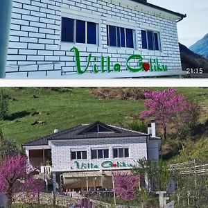 Goliku , Pestani Albánie